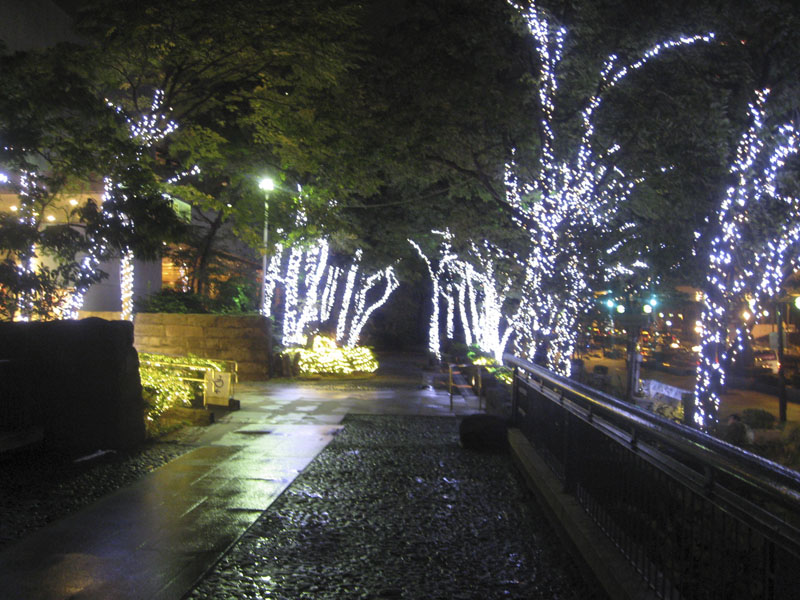 oedo_nightwalking_045