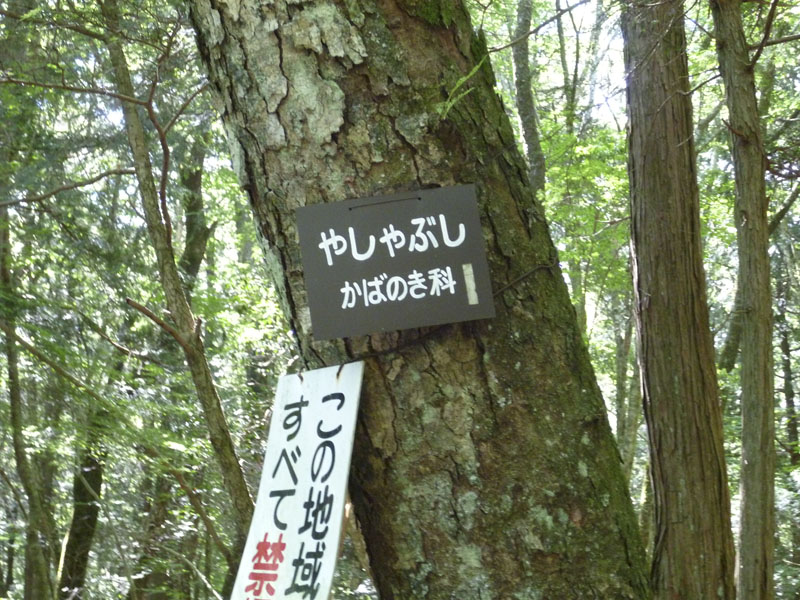 2011_Summer-gasshuku_058