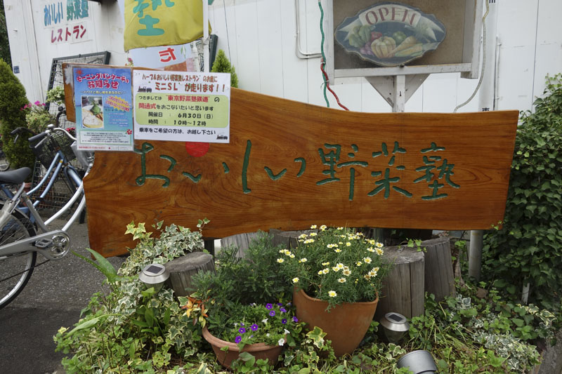 DSC00690