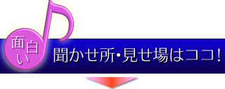 面白い：聞かせ所・見せ場はココ！