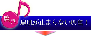 驚き：鳥肌が止まらない興奮！